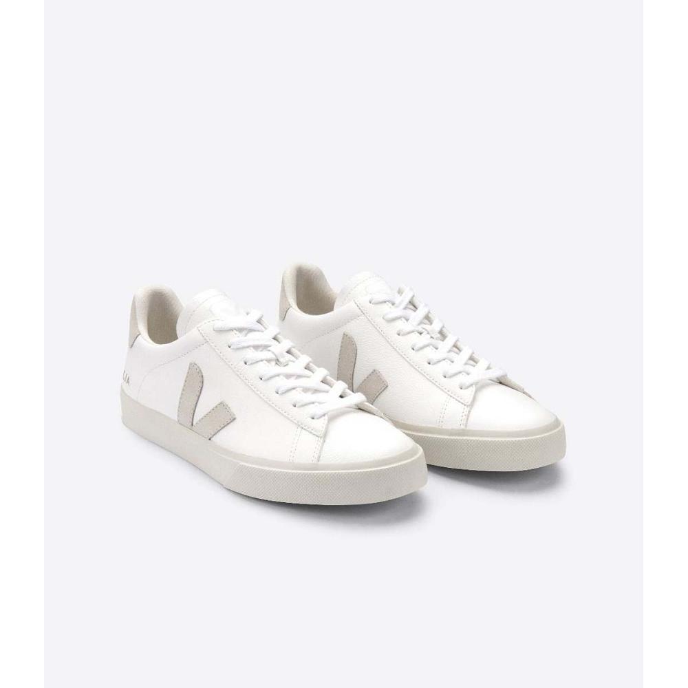 White/Beige Women's Veja CAMPO CHROMEFREE Low Tops Sneakers | AU 594JPQ